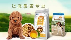 中國(guó)十大寵物食品品牌榜中榜 科學(xué)喂養(yǎng)，從選對(duì)主糧與零食開始